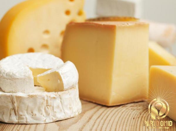 سعر علبة الجبنة للتصدير بكميات كبيرة