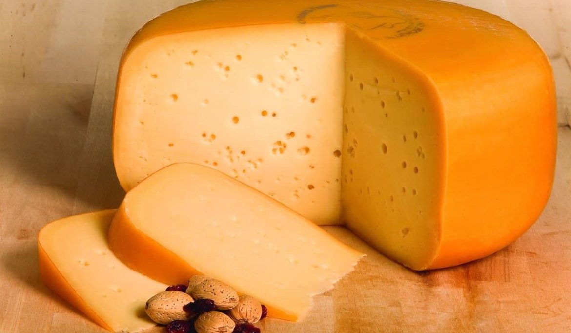 سعر كيلو الجبنة الرومي بالجملة